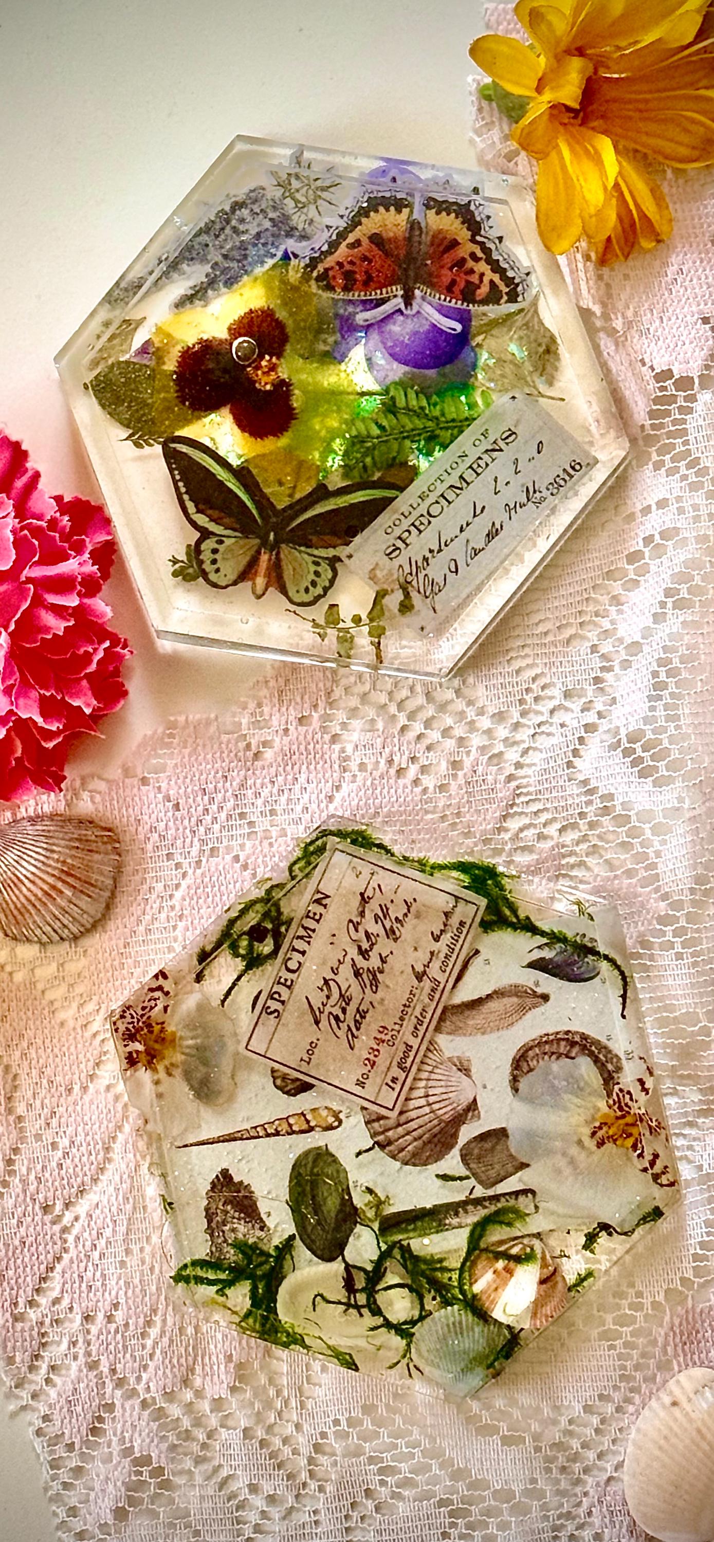 Botanical Specimen Coaster Set – Handmade Resin Coasters with Mushrooms, Butterflies, Seashells & Flowers, Boho Decor, Unique Gift