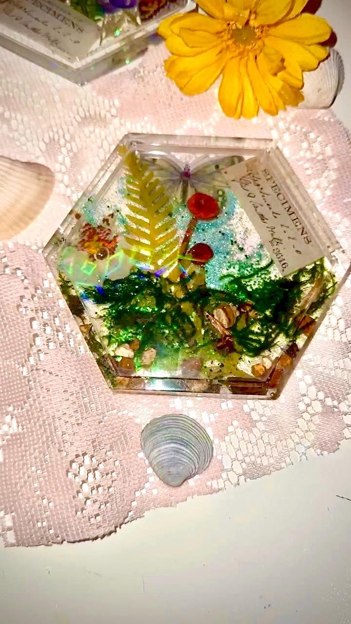 Botanical Specimen Coaster Set – Handmade Resin Coasters with Mushrooms, Butterflies, Seashells & Flowers, Boho Decor, Unique Gift