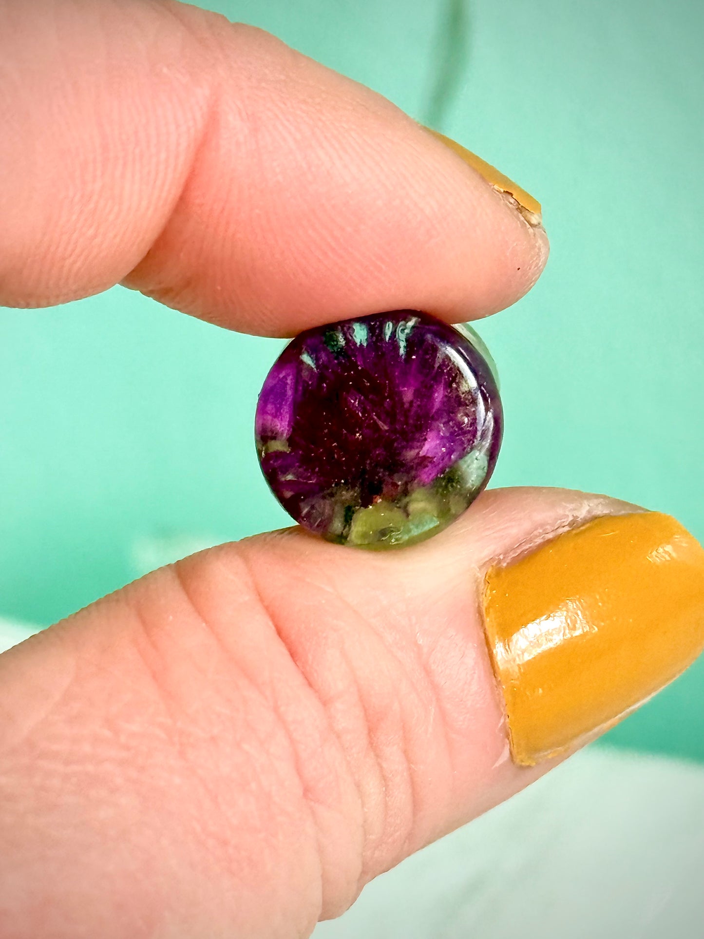 7/16” Handmade Resin Ear Gauges | Real Purple Clover Plugs | Botanical Body Jewelry