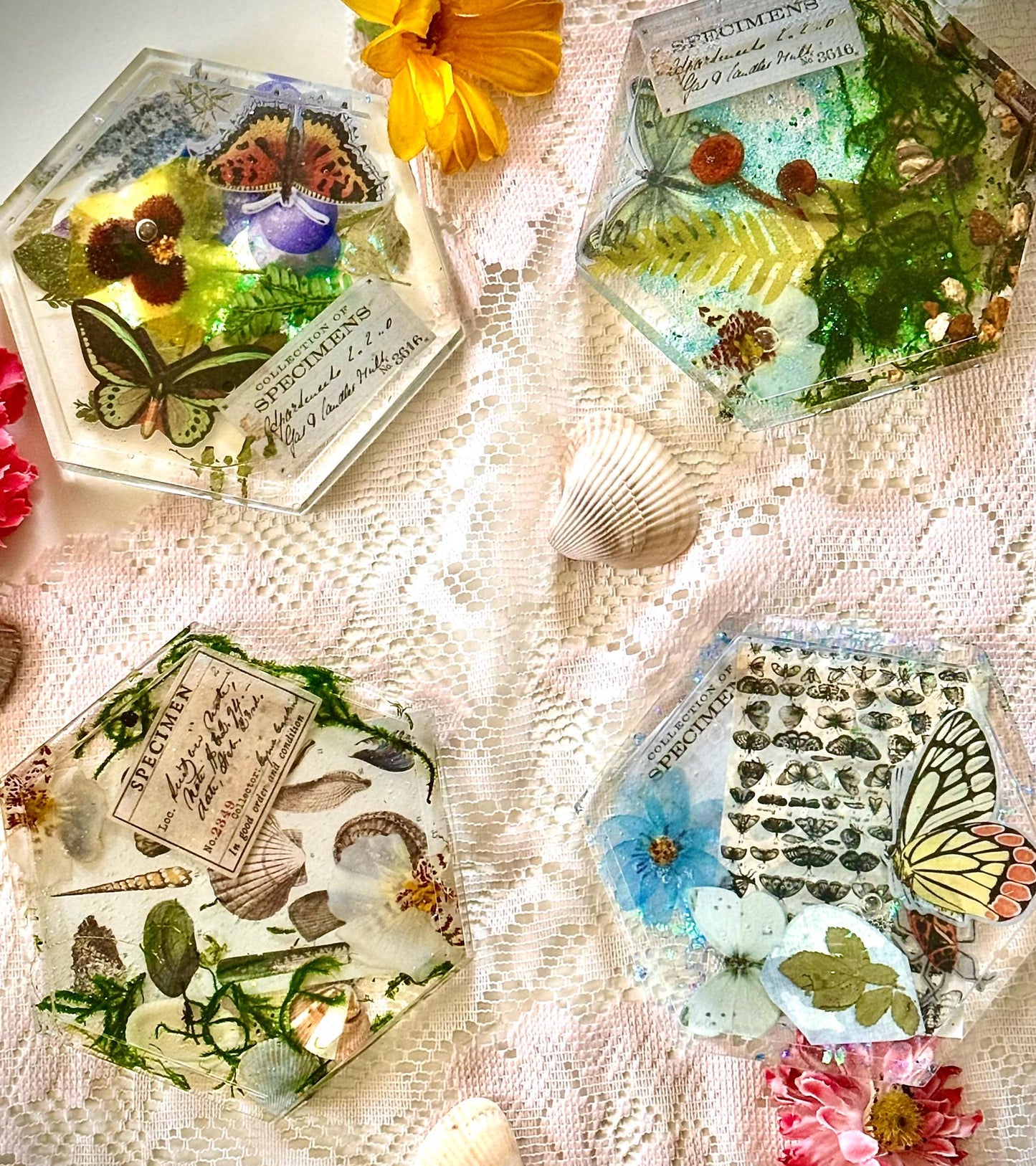 Botanical Specimen Coaster Set – Handmade Resin Coasters with Mushrooms, Butterflies, Seashells & Flowers, Boho Decor, Unique Gift