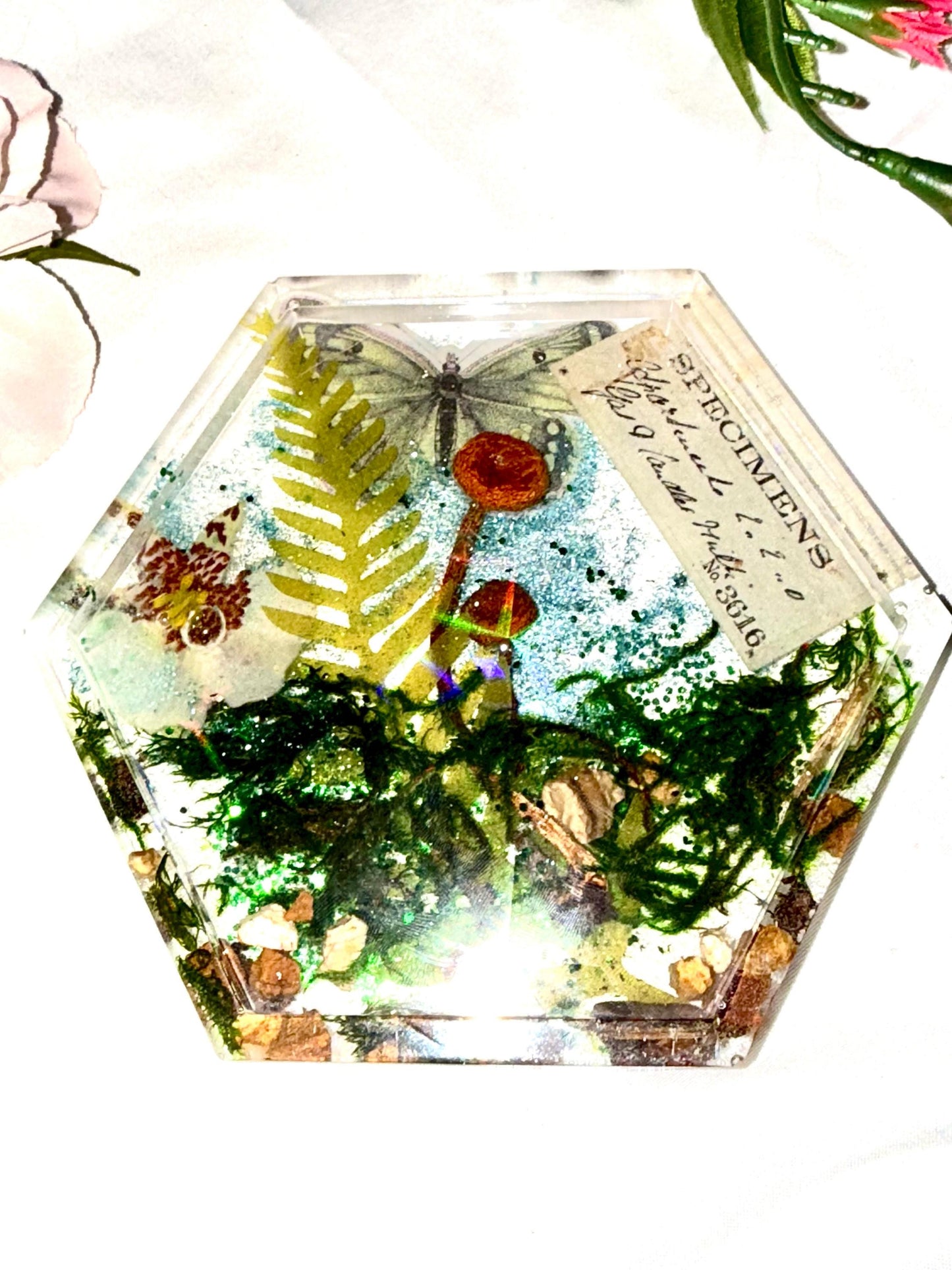 Botanical Specimen Coaster Set – Handmade Resin Coasters with Mushrooms, Butterflies, Seashells & Flowers, Boho Decor, Unique Gift