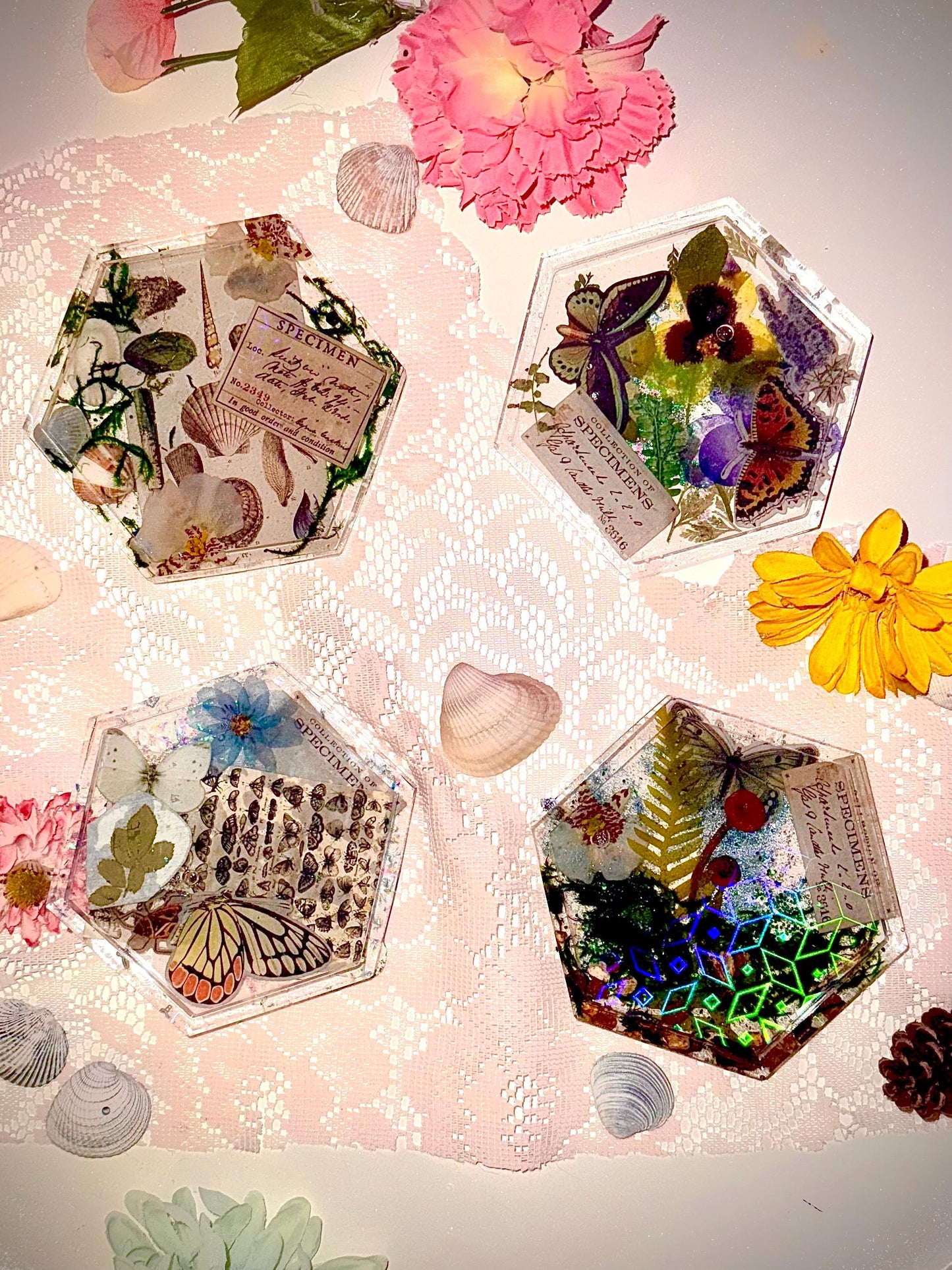 Botanical Specimen Coaster Set – Handmade Resin Coasters with Mushrooms, Butterflies, Seashells & Flowers, Boho Decor, Unique Gift