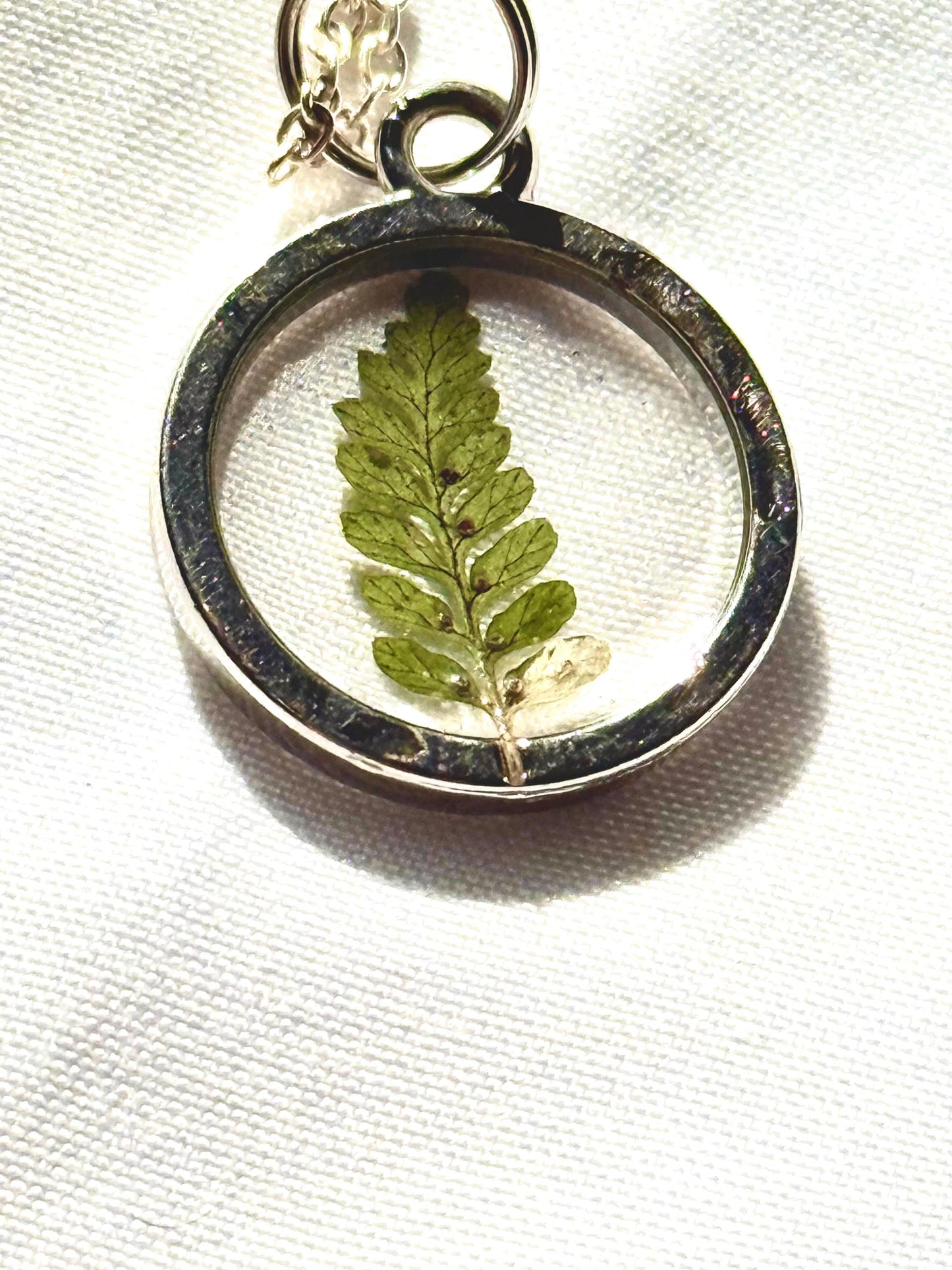 Tiny Preserved Fern Necklace, Real Dried Fern Pendant, Nature Inspired Pendant Necklace, Botanical Necklace, 16 inch. chain