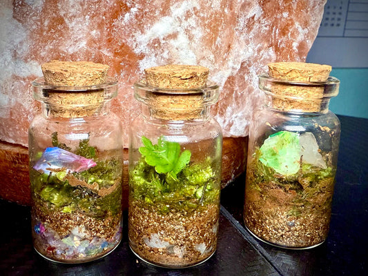 Mini Moss, Fern & Crystal Terrarium: Tiny Glass Terrarium, Live Moss Decor,  Nature-Inspired Home and Office Accent, Unique Gift