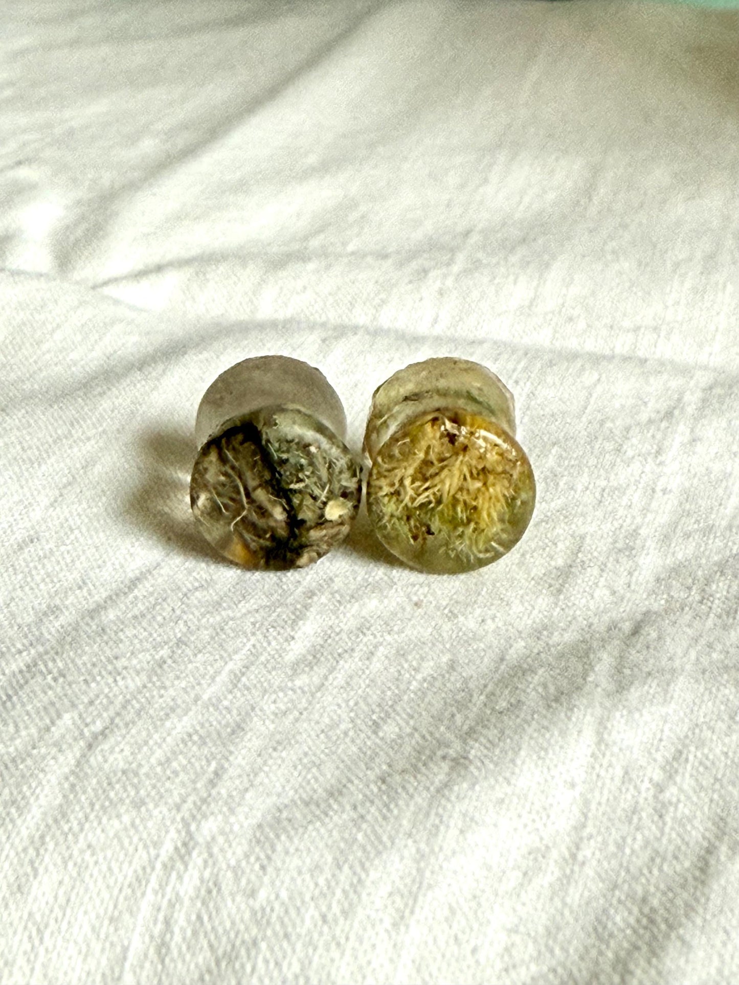 0g Resin Plugs | Real Flower & Moss Ear Gauges | Handmade Botanical Jewelry