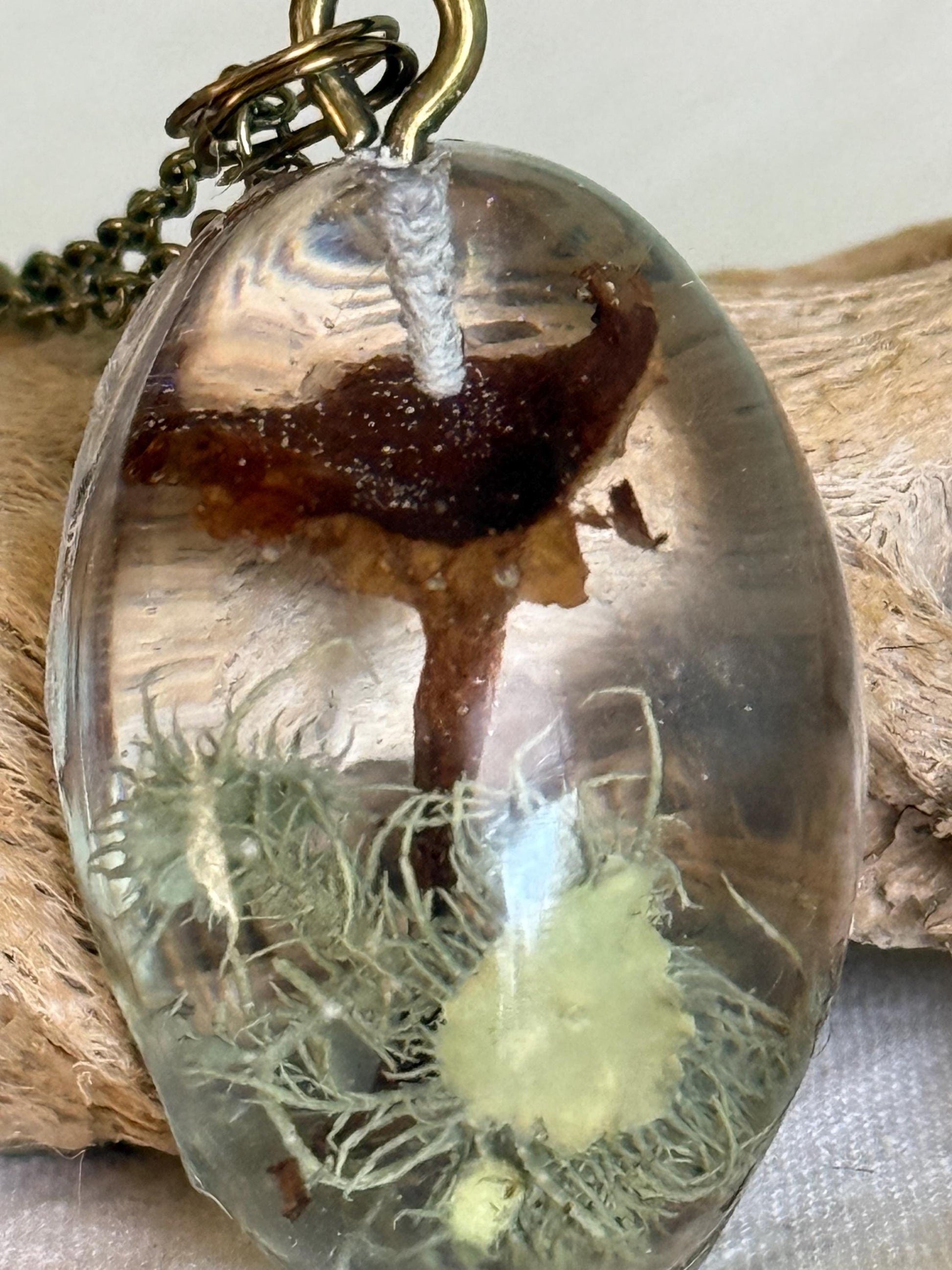 Tiny Dried Mushroom Pendant Necklace with Lichen, Resin Jewelry, Bronze Adjustable 16-18" Chain, Nature-Inspired Gift, Woodland Pendant