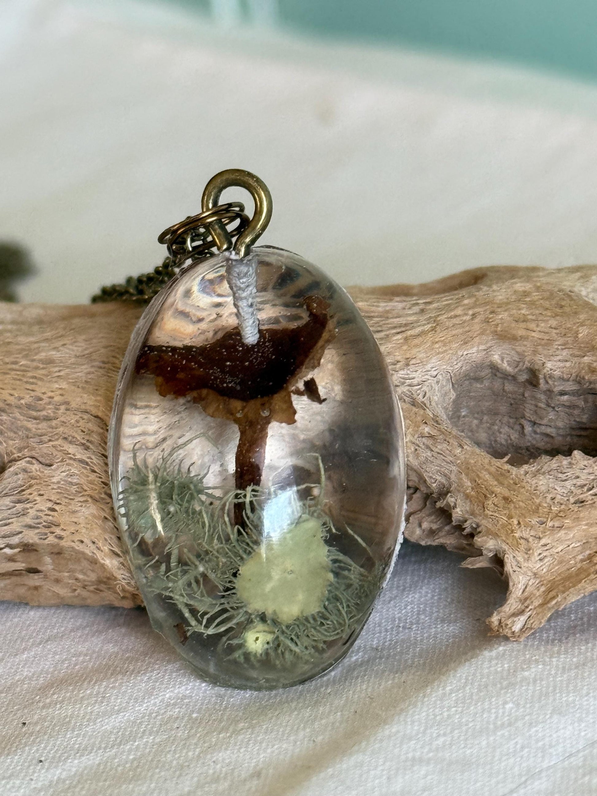 Tiny Dried Mushroom Pendant Necklace with Lichen, Resin Jewelry, Bronze Adjustable 16-18" Chain, Nature-Inspired Gift, Woodland Pendant